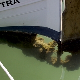 Wieder im Sportboothafen haben wir viele kleine und größere Boote und Jachten gesehen. Eine viel zu größe Anzahl der Boote war aber in einem sehr ungepflegtem Zustand, wie exemplarisch auf dem Foto zu sehen ist. <br /> Wieder im Sportboothafen haben wir viele kleine und größere Boote und Jachten gesehen. Eine viel zu größe Anzahl der Boote war aber in einem sehr ungepflegtem Zustand, wie exemplarisch auf dem Foto zu sehen ist. <br />